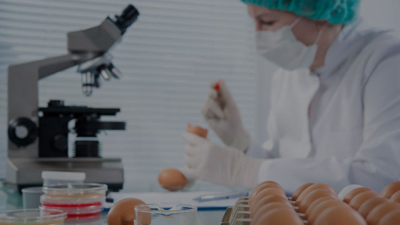 Halal Certification: Ensure Compliance with Islamic Standards